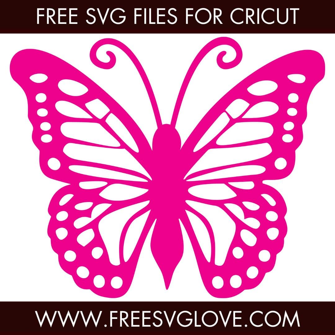 Butterfly SVG Cut File For Cricut