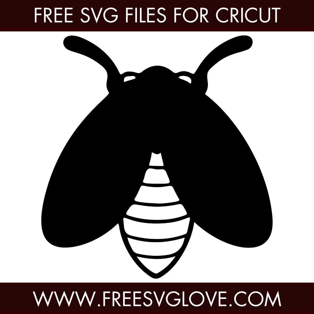 Simple Moth, Insect SVG Cut File For Cricut
